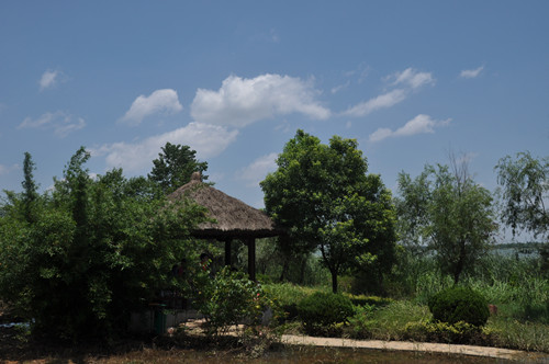dsc_0107_.jpg