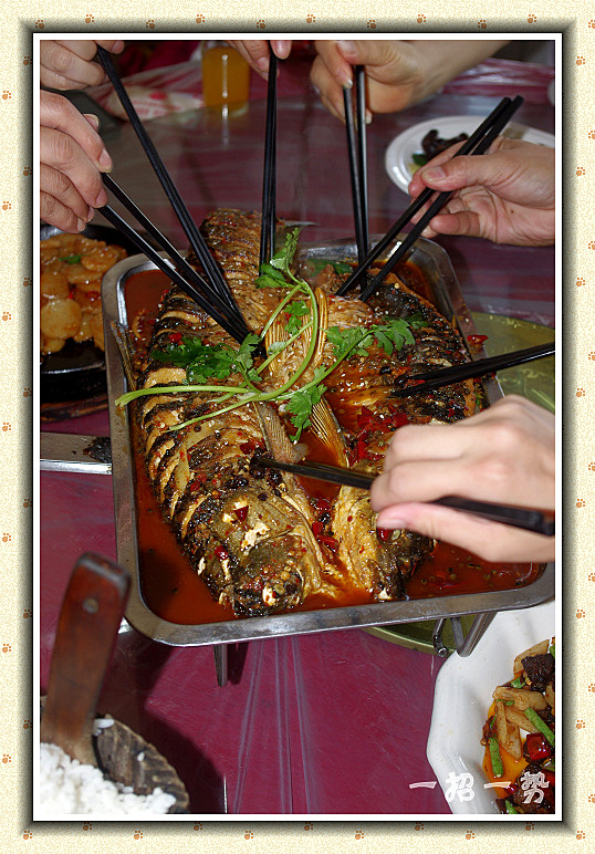 imgp1531_.jpg