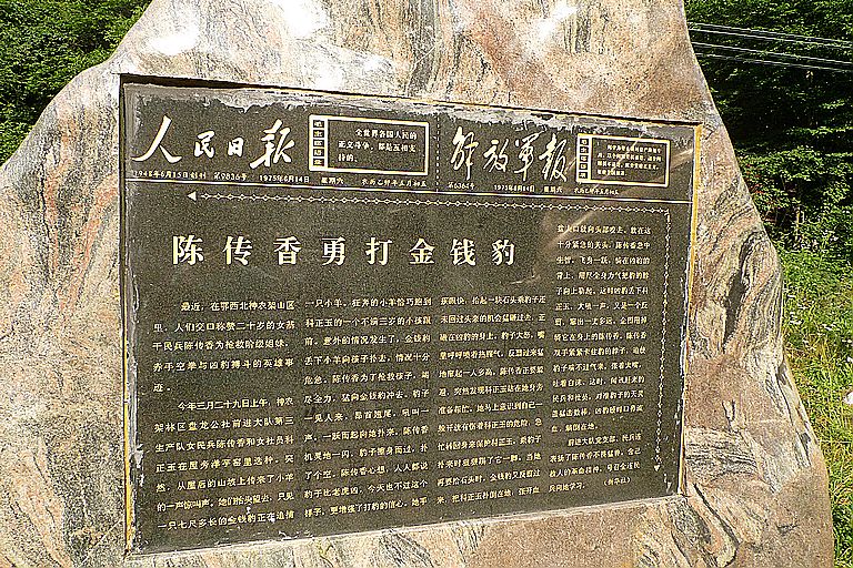 p1080033.jpg