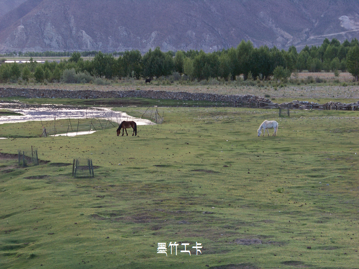 20110614dī񹤿޸ɲ (14).jpg