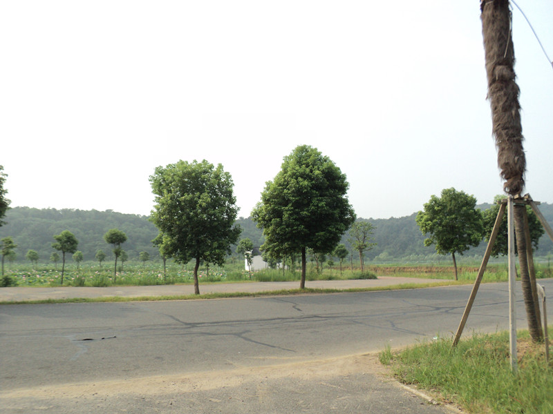 dsc04979_.jpg