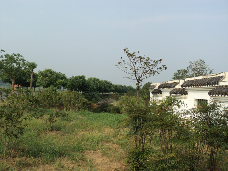 dsc04980_.jpg