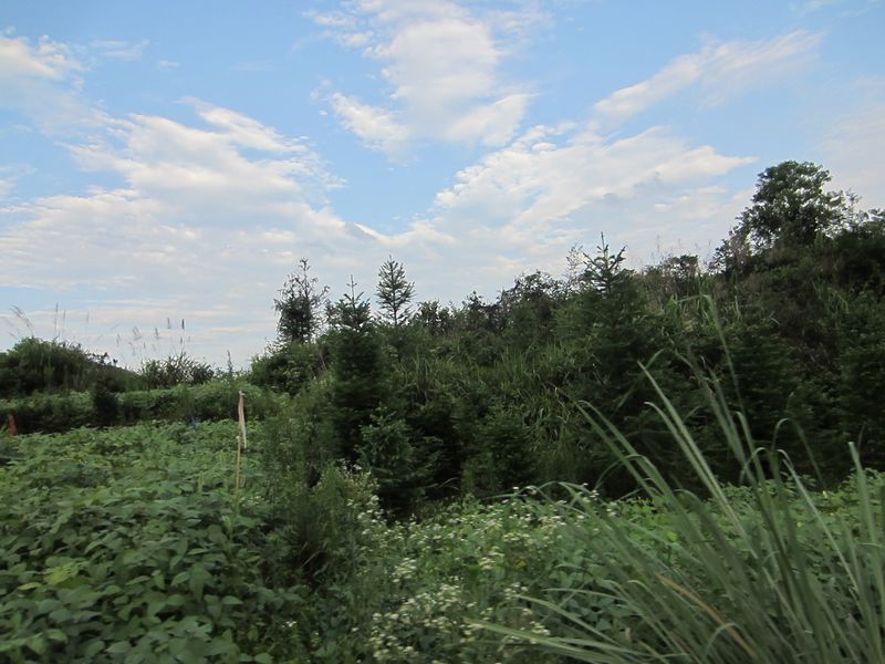 img_1636.jpg