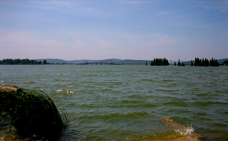 img_0894_03.jpg