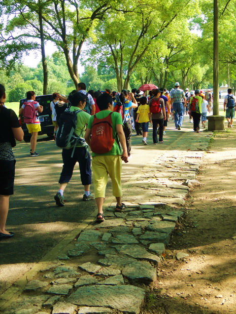dsc01793.jpg