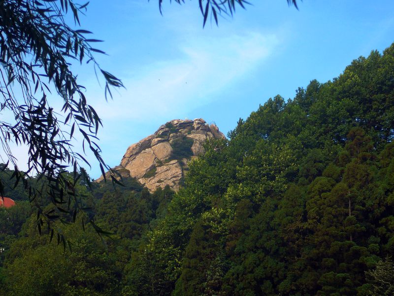 p1160176.jpg