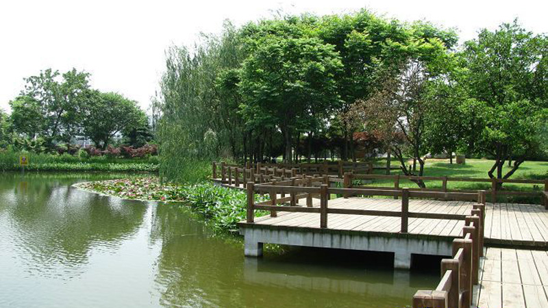 06.jpg