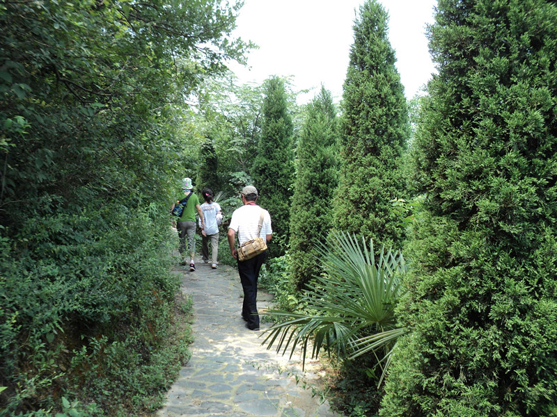 dsc04698_.jpg
