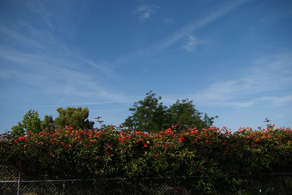 k1168882.jpg