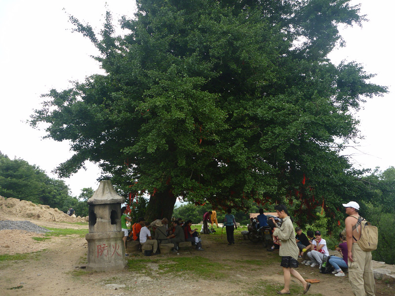 p1070034_.jpg