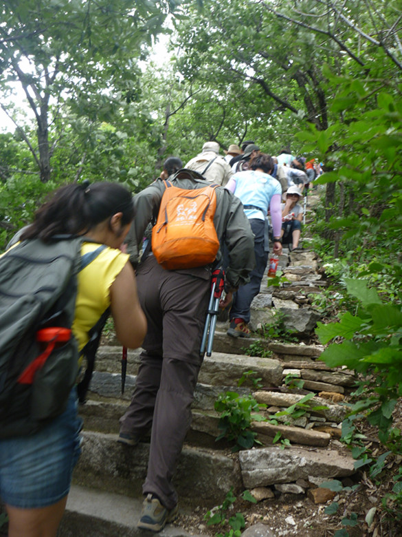 p1070039_.jpg