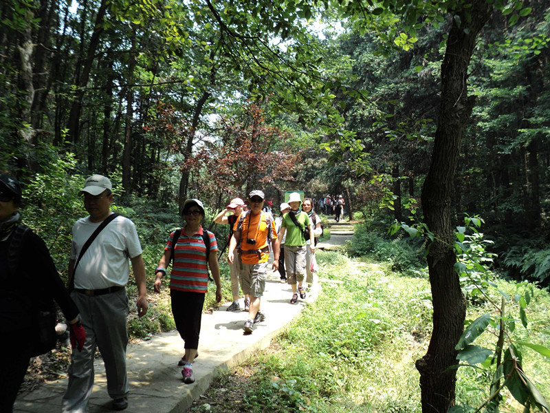 dsc04726_.jpg