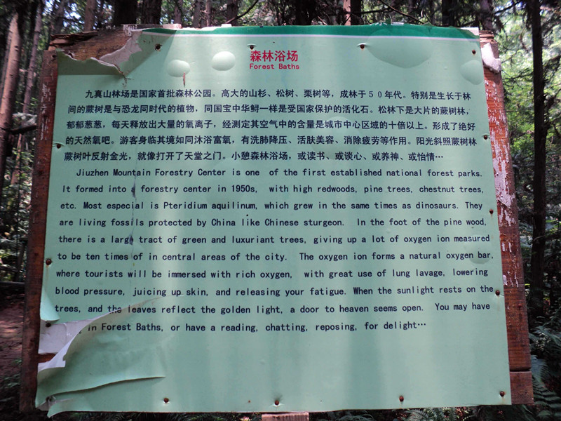 dsc04729_.jpg