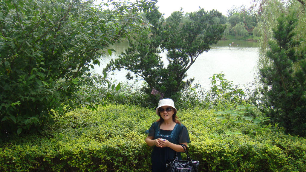 dsc04882.jpg