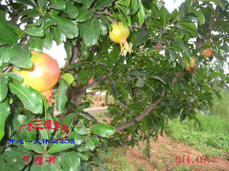 img_2265.jpg