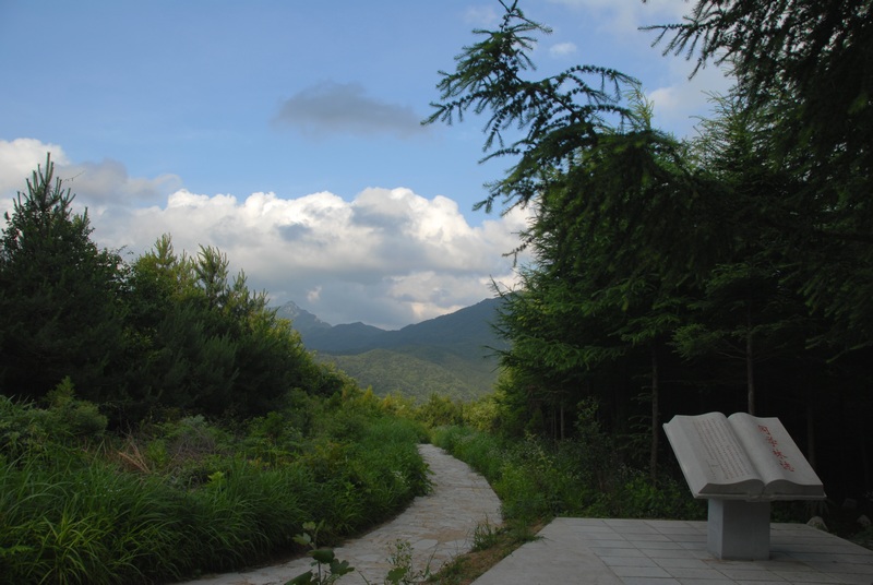 dsc_0443.jpg
