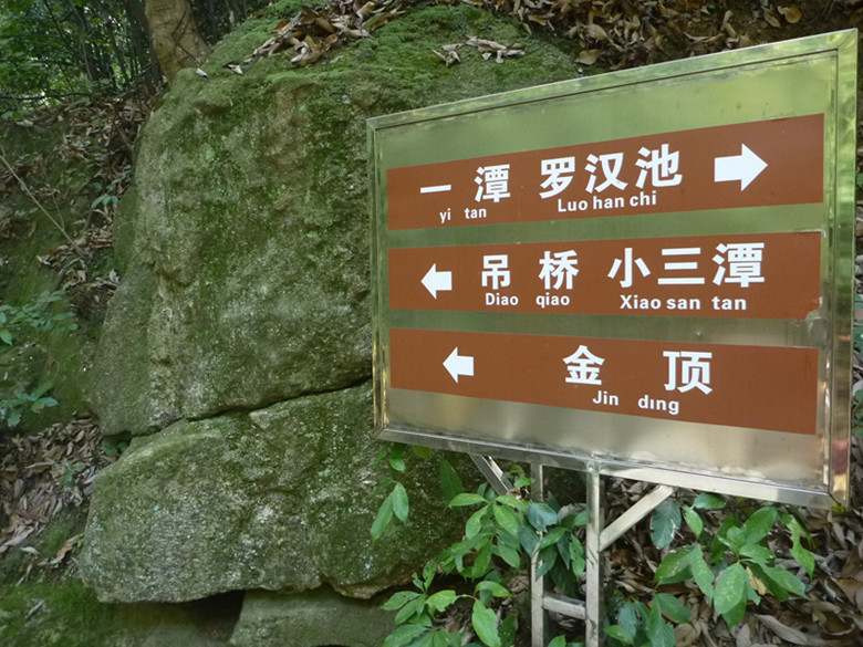 p1070099_.jpg
