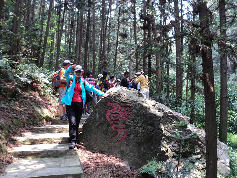 dsc04750_.jpg