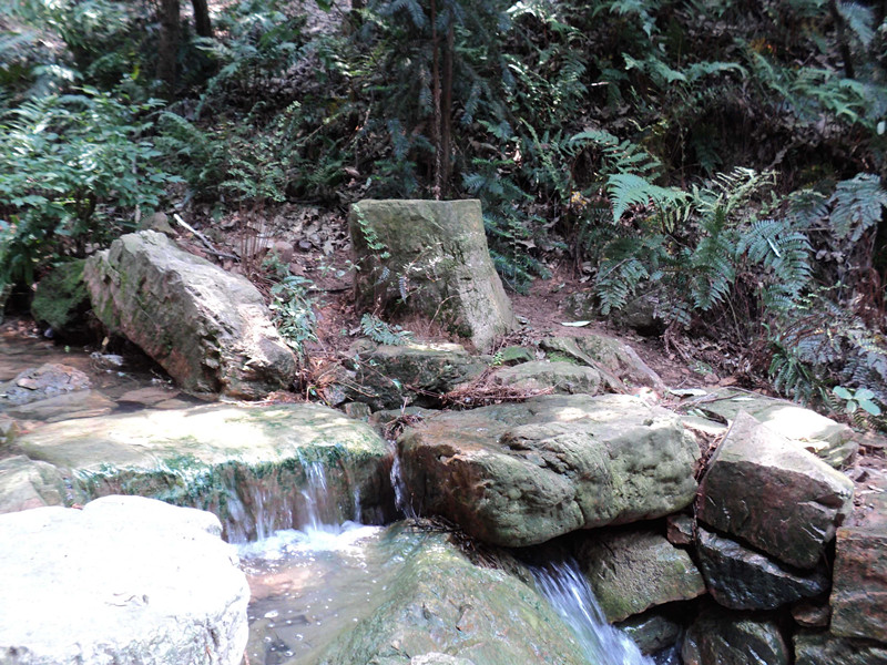 dsc04752_.jpg
