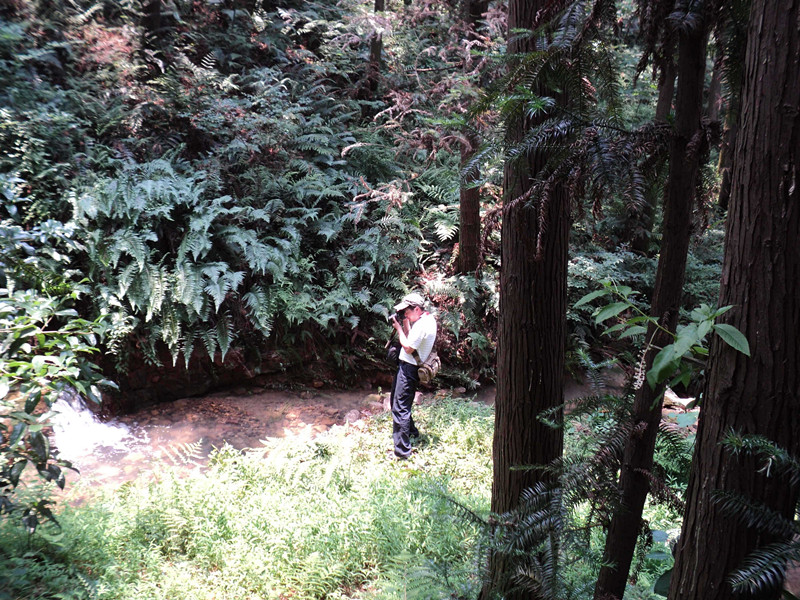 dsc04743_.jpg