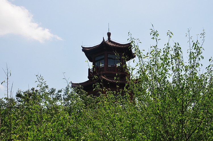 dsc_1324.jpg