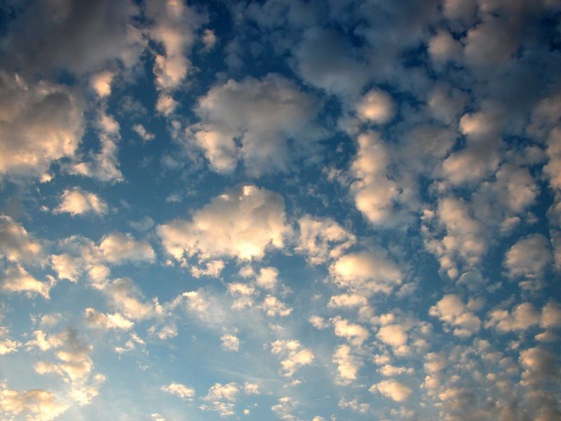 dscn2708.jpg