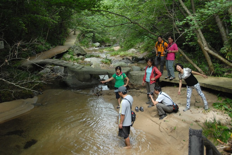 dsc_0248.jpg
