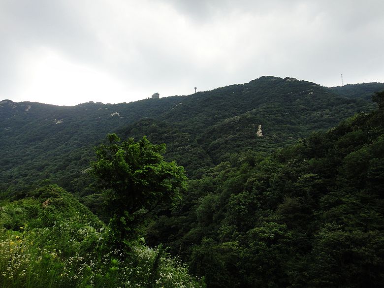 dsc05349.jpg