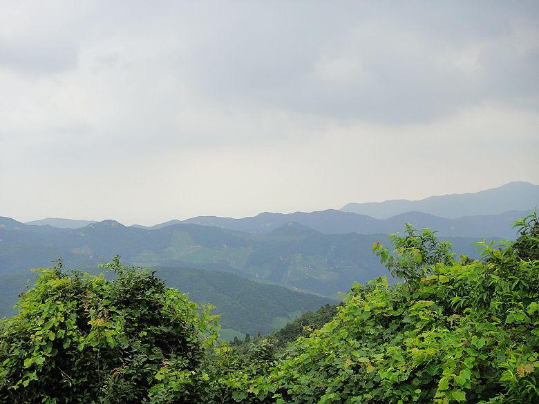 dsc05360.jpg