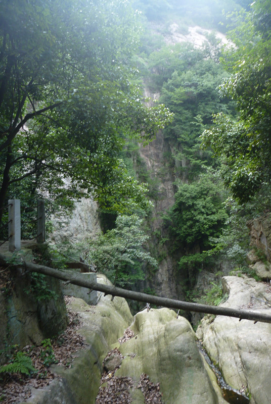 p1070101_.jpg