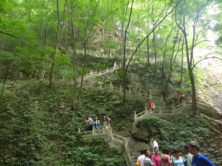 p1070112_.jpg