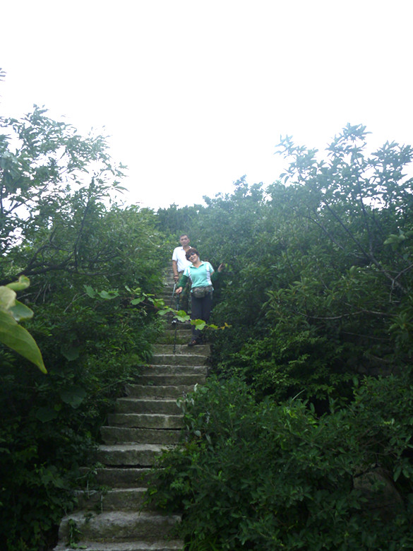 p1070069_.jpg