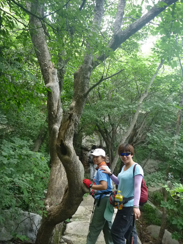 p1070080_.jpg