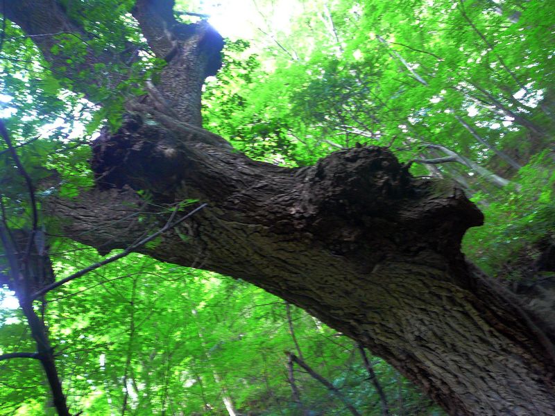 p1160235.jpg