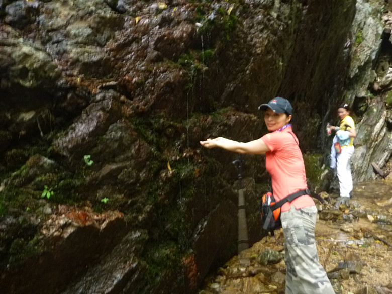 p1070115_.jpg