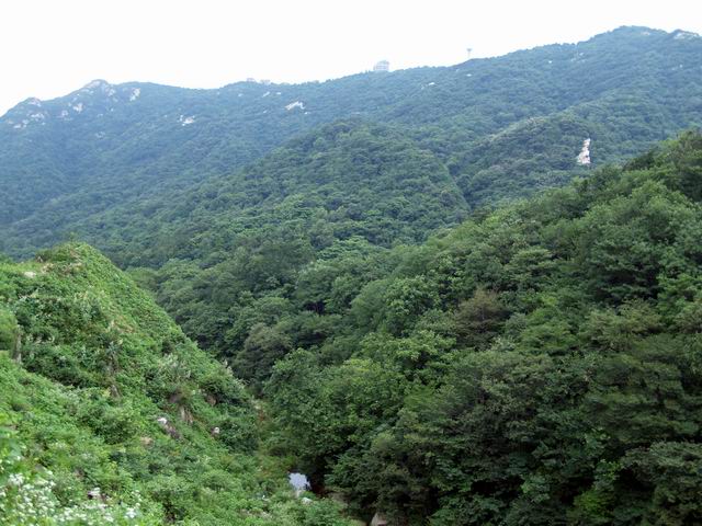 С p7020437.jpg