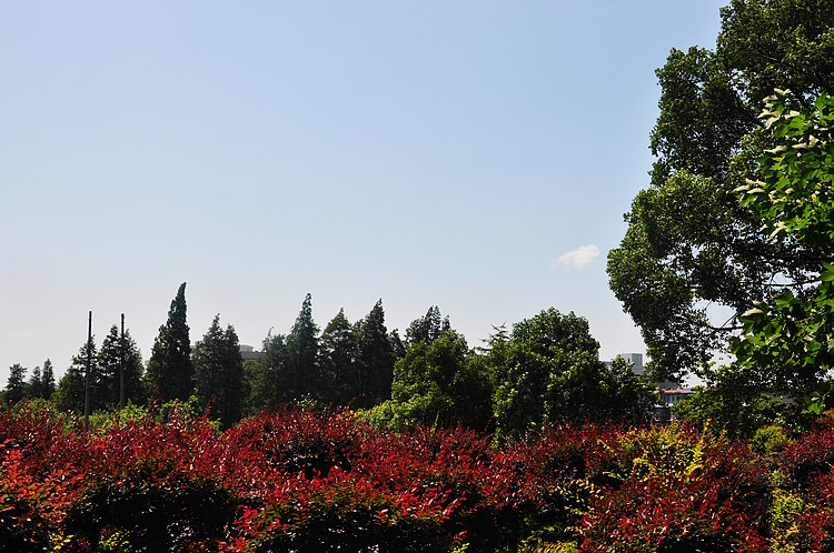 dsc_1408.jpg
