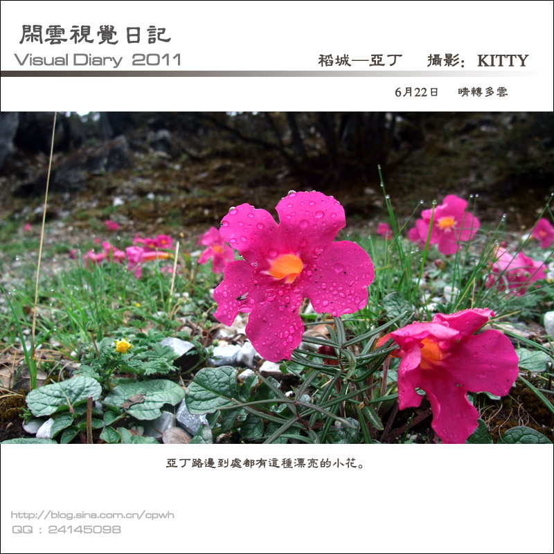 2011062204.jpg
