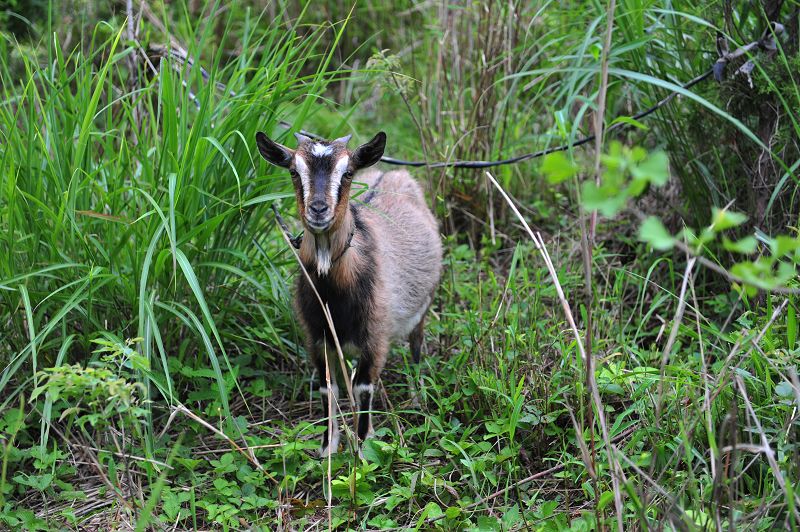 dsc_7157.jpg
