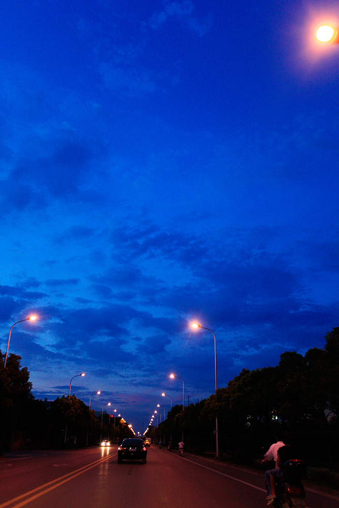 _mg_0313.jpg