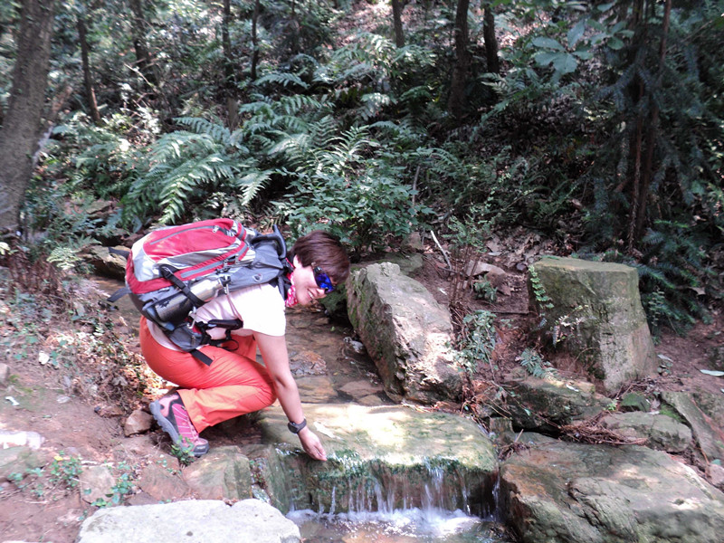 dsc04756_.jpg