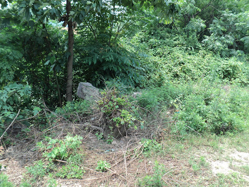 dsc04775__.jpg