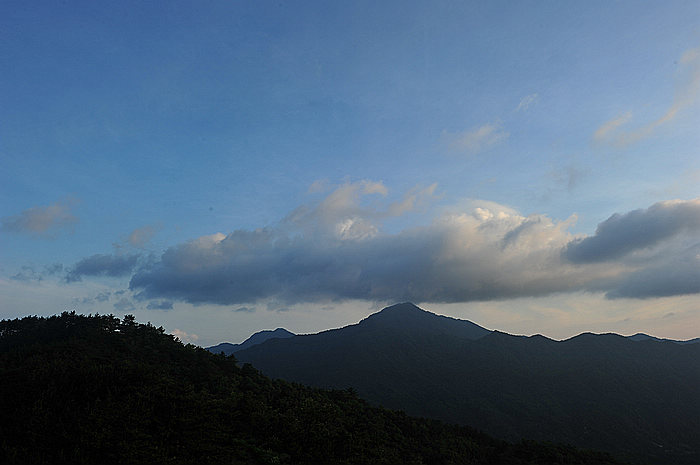 dsc_7240.jpg