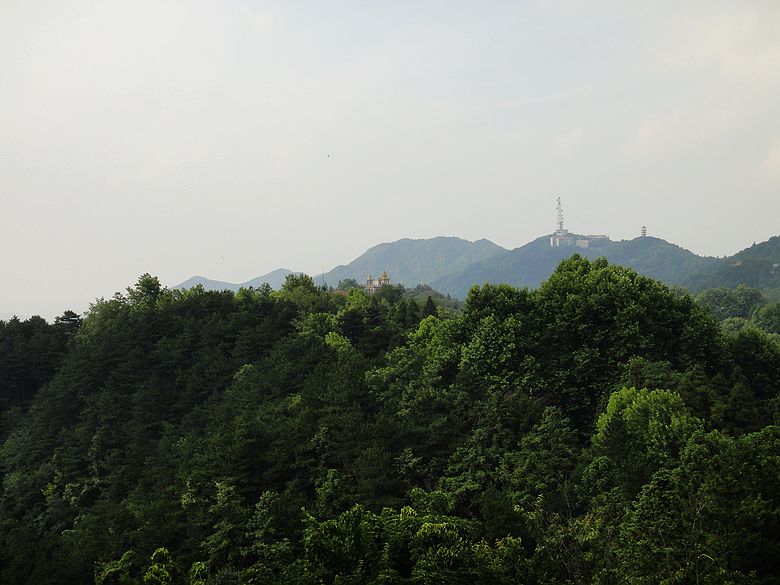 dsc05369.jpg