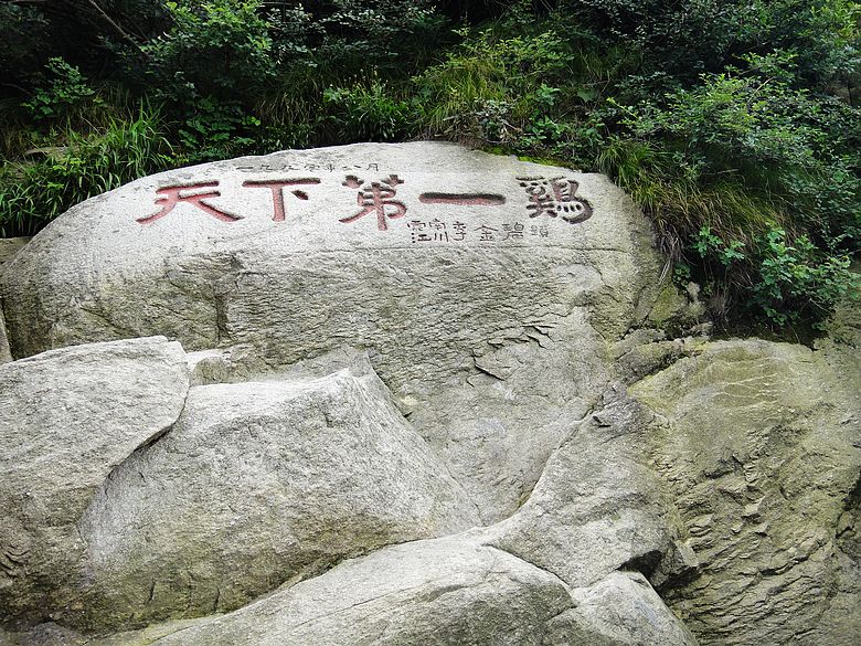 dsc05376.jpg