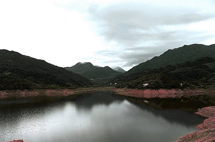 dsc_6875.jpg