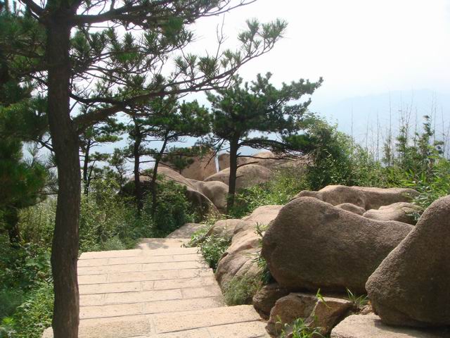 С dsc08633.jpg