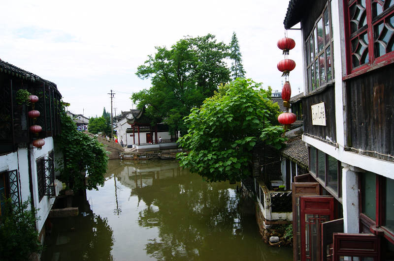 dsc07126.jpg