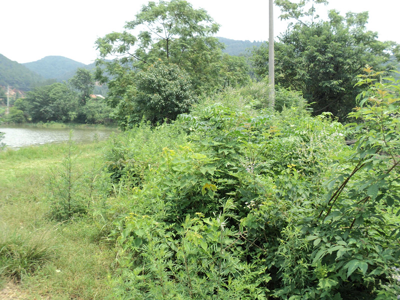 dsc04776_.jpg