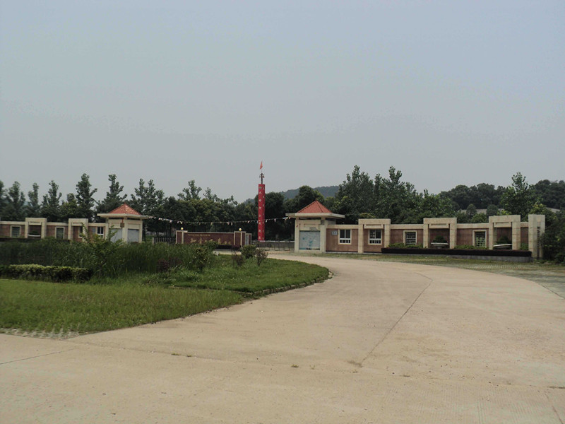 dsc04781_.jpg
